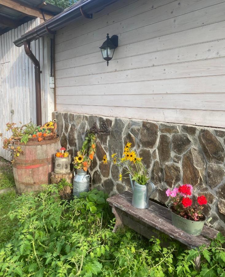 Holiday Home Usadba Novoselitsa Eksteriør billede