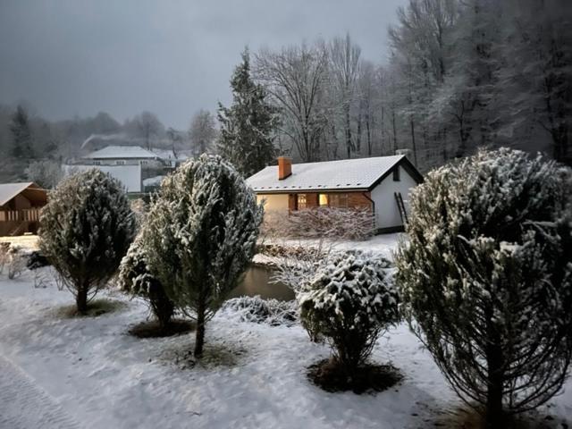 Holiday Home Usadba Novoselitsa Eksteriør billede