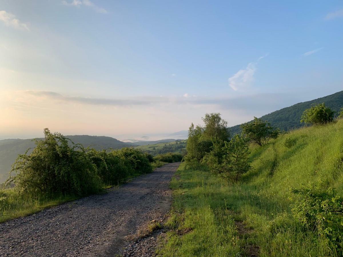 Holiday Home Usadba Novoselitsa Eksteriør billede
